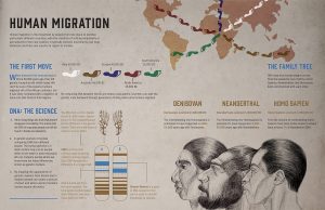 Islam's Final Project